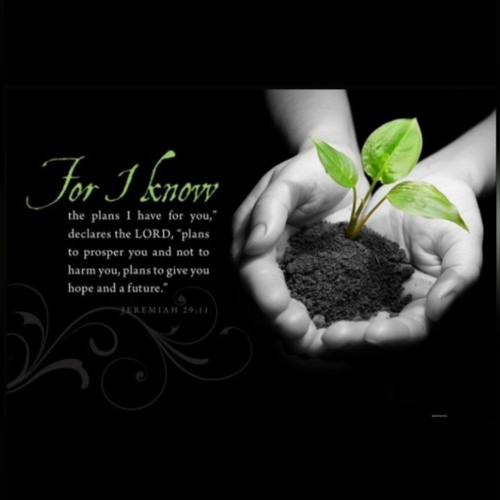 The Word Of GOD
